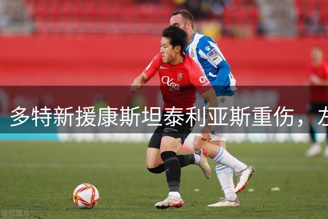 多特新援康斯坦泰利亚斯重伤，左膝韧带受损数月错失赛事